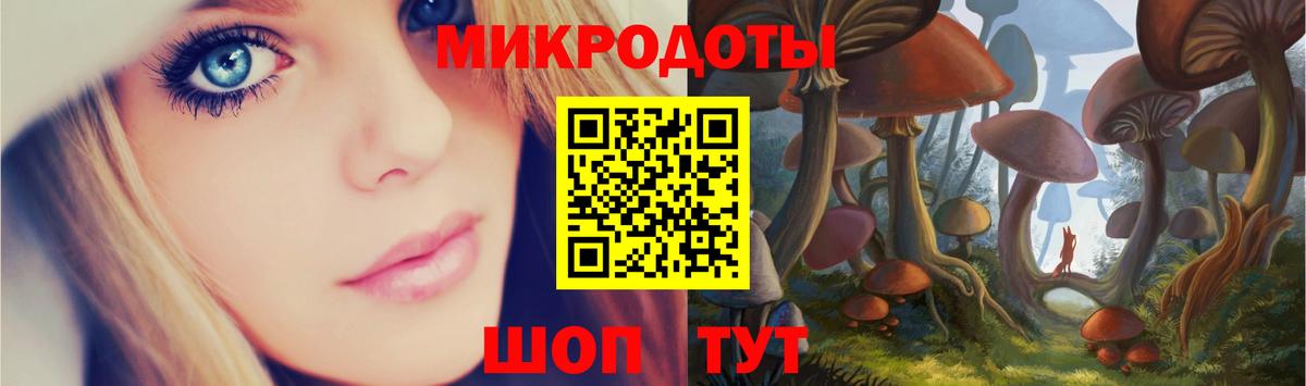 Галлюциногенные грибы Psilocybine cubensis Асбест